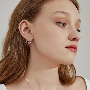 Aretes de Cerdo Lindos y Divertidos a Precio de Fábrica al por Mayor, Aretes de Cerdo del Zodiaco en Oro Rosa, Aretes de Plata de Ley 925 Súper Dulces - Product Image 2