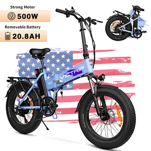 Amazon solo EE. UU. Tiene stock DDP Precio 500W Motor de potencia Bicicleta de ciudad plegable 20ah bicicleta eléctrica