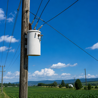 Transformateur de distribution triphasé 50/60Hz 10KV vers 480V à faible entretien avec support pour poteau en bois pour ligne électrique rurale