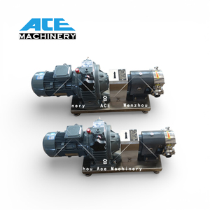 Bomba de Lóbulos Rotatorios con Motor a Prueba de Explosiones al Mejor Precio para Uso Seguro en Áreas Peligrosas - Product Image 5