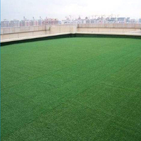 Gazon artificiel de haute qualité, écologique, durable, haute densité, ignifuge, tapis synthétique pour usage intérieur/extérieur