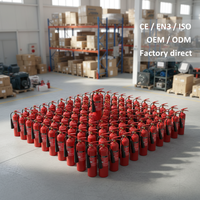 Extincteur portable au CO2 de 5 kg, classe B C, sans résidus, BSI CE EN3, avec support mural pour les incendies électriques, salle de serveur