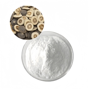 Synéphrine de haute pureté 98% en poudre, extrait de Citrus Aurantium - Product Image 2
