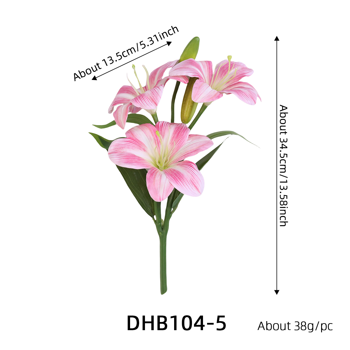 DHB104-5