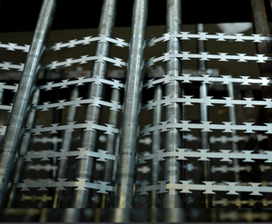 <span class=keywords><strong>Alambre</strong></span> de púas de acero inoxidable galvanizado en caliente, modelo personalizable, <span class=keywords><strong>alambre</strong></span> de cuchilla tipo concertina para valla de seguridad antiescalada - Product Image 4