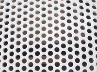 Paneles de techo acústicos ecorativos, lámina de malla perforada personalizada de HDPE