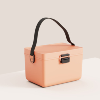 Mini congélateur 12L, seau à bière, glacière, boîte de refroidissement pour le camping en plein air, voyage, boîte de refroidissement portable, réfrigérateur pour pique-nique