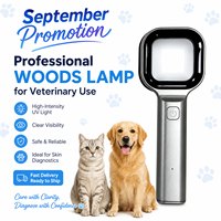 New trend pet care rechargeable Woods lamp with 2X Magnifier detect pet skin care veterinary hospital supplies