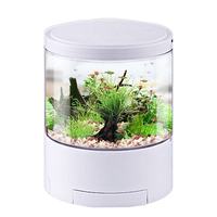Mini aquarium en verre écologique 500 ml, réservoir à poissons moderne à circulation automatique, boîte ronde de bureau, décoration pour la maison et le bureau