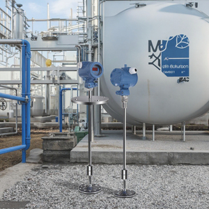 מד גובה נוזלים מגנטוסטריקטיבי מפלדת אל-חלד CIPPUS, עמיד בפני פיצוץ ExdIICT6, דיוק 0.25%, יציאה 4-20mA/S485 לשמן - Product Image 6