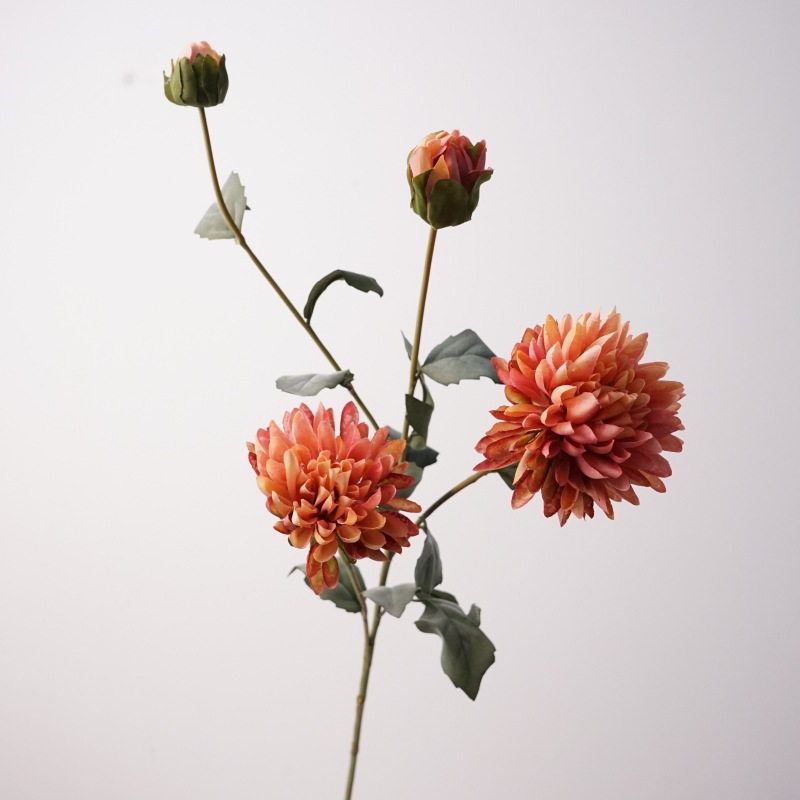 4 head cornflower-brown