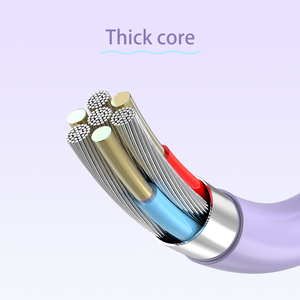 TPE 数据线 1m 快速充电 <span class=keywords><strong>USB</strong></span>-C 转 <span class=keywords><strong>USB</strong></span>-C 线 <span class=keywords><strong>USB</strong></span> 2.0 Type C 数据线 适用于 iphone 16/17 Phone Pro Max 三星 小米 - Product Image 5