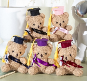 Animal de peluche Doctor Bachelor Teddy Oso de graduación Muñeco de peluche Oso de graduación Juguete de peluche - Product Image 2