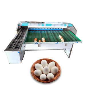 Egg Sorting Machine 10000 Pcs Eggs Sorting Machine with Stamping Price Egg Grading Machines - Product Image 1