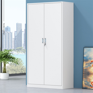 Steel Cabinet Door File Cabinet Simple Style Two-Door Steel Storage Cabinet Combination Steel CupboardsFile Cabinet With Lock