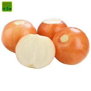 Hot Sale 6-8cm <strong>Onion</strong> <strong>Export</strong> 2024 Newest Crop Yellow/Red <strong>Onion</strong> Share Fresh Gold <strong>Onions</strong> Supplier for Wholesale Round Within 7 Days - Product Image 2