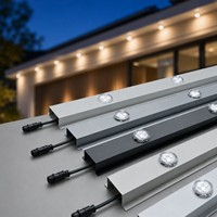 Lumière LED RGB WS2811 40 mm, étanche, pour éclairage extérieur permanent, décoration de Noël pour toiture, pignon et fêtes