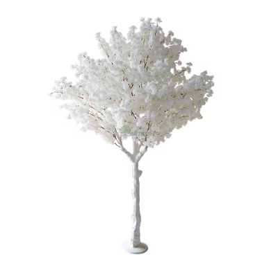 Fleur blanche et tronc