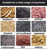 Vente directe d'usine, presse à huile 130, machine d'extraction d'huile d'arachide, de tournesol, presse à huile de palmiste, presse à huile de fruits de palmier