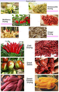 Enredos marinos verduras Gulfweed Sargassum malla de algas banda transportadora continua Máquina secadora equipo de secado - Product Image 6