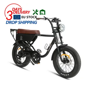 EU warehouse High power electric bike bicycle 48v fat wheel 250w ebike electric motorcycle bike