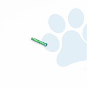 Implante Quirúrgico Veterinario Ortopédico con Tornillo de Bloqueo AO de 1.6mm, 2.4mm, 3.2mm, 4.0mm para Procedimientos de Fijación Ósea en Animales - Product Image 3