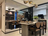 Téléviseur intelligent 4K UHD de 55 pouces avec haut-parleurs intégrés, différents styles, montage mural, télévision miroir