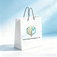 Sacs en papier personnalisés avec logo, service complet direct usine, sacs d'emballage pour vêtements, sacs de courses, blanc classique luxueux