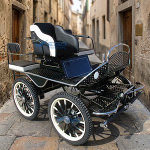 Factory Supply 6‑Seater Four‑Wheel Marathon Small Carriage For Horse Training Park Sightseeing Project - Product Image 1