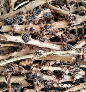 Driftwood Acuario Raíz Decoración Pecera Natura Sava Madera - Product Image 2