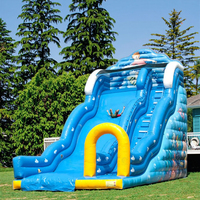 Toboggans gonflables aquatiques en PVC, très populaires et stimulants, grands toboggans gonflables pour adultes et enfants