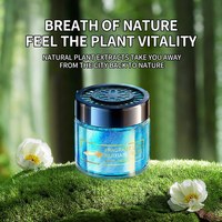 Contenant de gel désodorisant en plastique au design créatif, baume solide parfumé, spray écologique pour voiture, maison, salle de bain - Fabricant