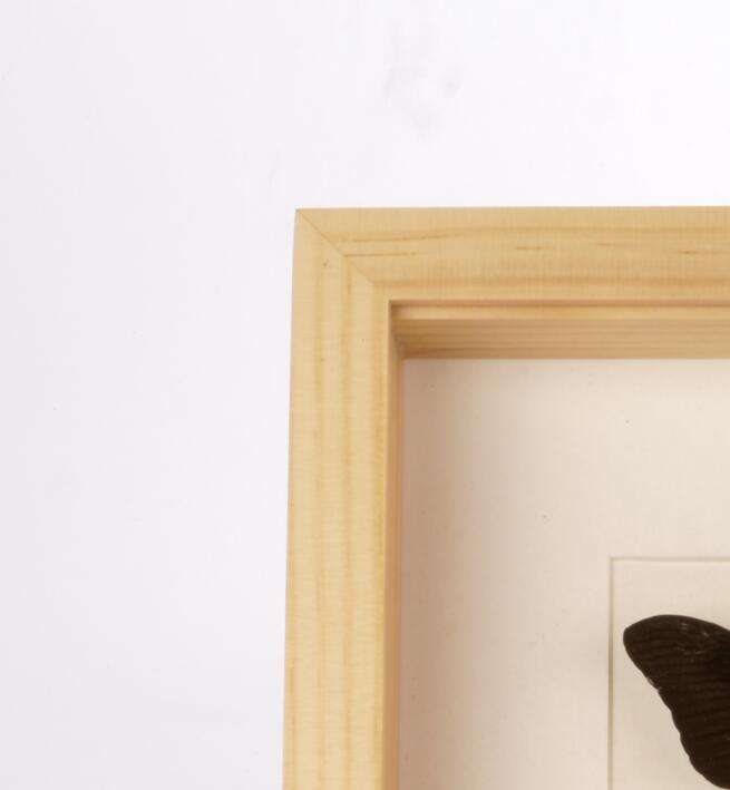 ธรรมชาติ