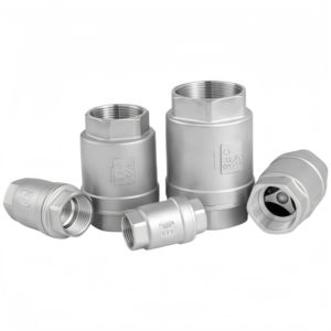 Vanne <span class=keywords><strong>de</strong></span> retenue à levage vertical en acier inoxydable 304, filetage BSP H12 |   Non-<span class=keywords><strong>retour</strong></span> du débit <span class=keywords><strong>de</strong></span> la <span class=keywords><strong>pompe</strong></span> - Product Image 1