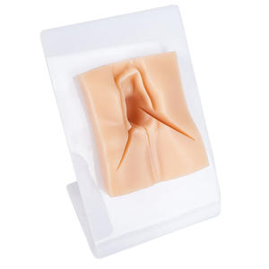 DARHMMY женская модель гипсиотомии для практики шва из ПВХ и силикона с тремя вырезами для медицинского образования - Product Image 1