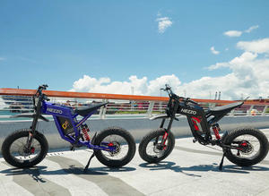 Motocicleta Eléctrica Todoterreno HEZZO D5 PRO, 400-600cc, 60V, 3000W, 70km/h, Resistente al Agua, Batería de Litio Potente, Stock en UE/EE. UU. - Product Image 4