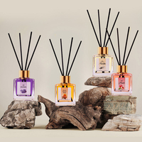 Diffuseur de parfum d'ambiance LUFU aux fruits 100ml, ensemble de diffuseurs à bâtonnets d'huiles essentielles, longue durée, aromathérapie, désodorisant d'ambiance de luxe