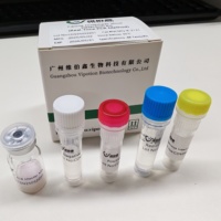 Kit de Prueba PCR en Tiempo Real para el Virus de la Peste Porcina Clásica Liofilizado VIPOTION, Kit de Detección Veterinario Aprobado por GMP y Certificado ISO