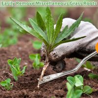 Lot de 3 outils à main de jardin en acier inoxydable coupe-mauvaises herbes grattoirs à joints outil de coupe de pissenlit houe