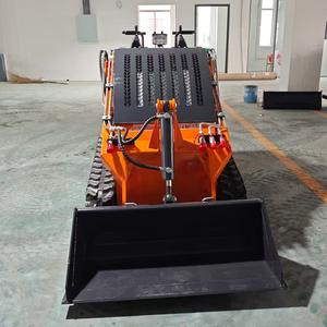 Бесплатная доставка, Мини-погрузчик, 500 кг, 600 кг - Product Image 5