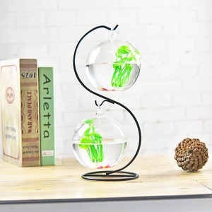 Vaso in Vetro Trasparente a Forma di Pera, Decorazione Creativa per Arredamento Casa - Product Image 6