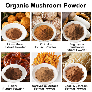 Organik <span class=keywords><strong>Shiitake</strong></span> özü 10%-50% polisakkaritler şitaki mantarı özü tozu AHCC - Product Image 3