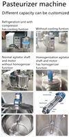 Pasteurisateur de petite taille pour la pasteurisation du miel, de la crème glacée, des produits laitiers, de la transformation UHT, de la pasteurisation des œufs, du jus, du lait, prix de la machine