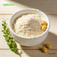 Poudre de lait de soja instantané riche en protéines, boisson nutritive au lait de soja