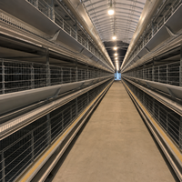 Cage à poulets commerciale Qianmu, type H, pour 30000-80000 poules, solution avicole complète pour ferme d'élevage d'œufs à Yaoundé, Cameroun, avec alimentation entièrement automatisée
