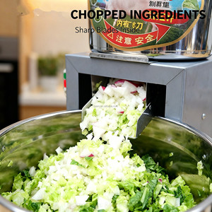 TX Coupe-légumes manuel multifonctionnel pour la maison et la cuisine, pour frites, chips, légumes et fruits - Product Image 1