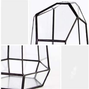 Boîte moderne de culture de plantes en verre et métal Design Art déco de luxe pour la maison Restaurant Hôtel Vase Décorations Prix bon marché Vente - Product Image 3