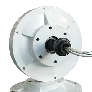 Générateur à aimants permanents sans noyau Maglev 600W 250RPM <span class=keywords><strong>12V</strong></span>/24V, <span class=keywords><strong>alternateur</strong></span> DIY pour éolienne verticale - Product Image 3