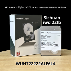 Disco Duro Interno SATA de 22 TB <span class=keywords><strong>HC570</strong></span> Helium de China, 512 MB de Caché, 7200 RPM, Nuevo, Clase Empresarial, para Servidor, WUH722222ALE6L4 - Product Image 1