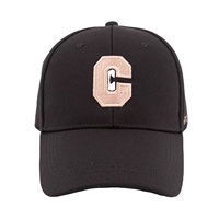 Gorra de Béisbol Curva de 6 Paneles Personalizada de Fábrica, Premium, Deportiva, con Logotipo Bordado, Estilo Urbano, Dobby, Ajustable, Formal